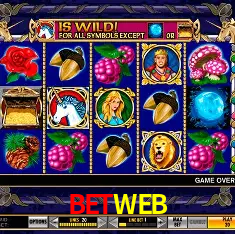 BETWEB Brasília - VIP Program